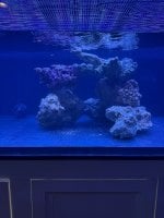 IMG_8742.jpeg
