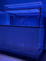 IMG_8660.jpeg