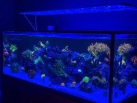 IMG_8873.jpeg