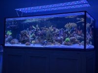 IMG_8833.jpeg