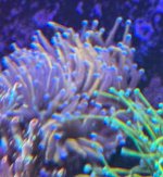 IMG_2239.jpeg