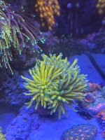 IMG_2232.jpeg