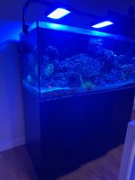 IMG_0411.JPG