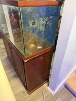 IMG_3336.jpeg