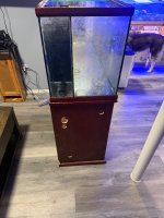 IMG_3337.jpeg