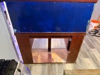 IMG_3340.jpeg