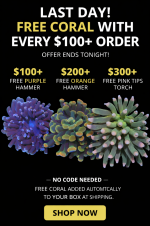 file_00000000f09871f5b08603d1f3d9c2f0.png