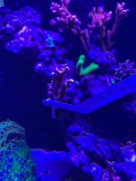 IMG_5082.jpeg