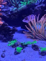 IMG_0794.jpeg