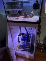 IMG_5882.jpeg