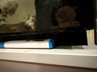 IMG_9640.jpeg