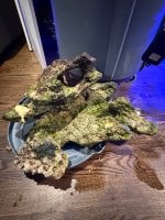 IMG_1765.jpeg