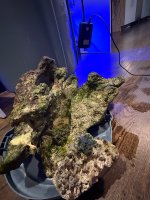 IMG_1767.jpeg