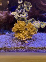 IMG_2696.jpg