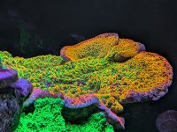 PXL_20260116_020735560.jpg