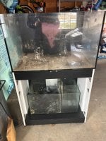 IMG_9951.jpeg