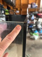 IMG_9952.jpeg