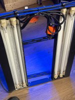 IMG_5981.jpeg