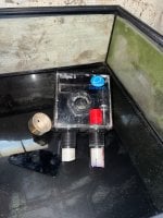 IMG_4248.jpeg