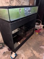 IMG_4250.jpeg