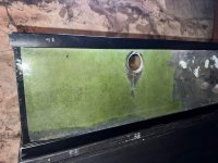 IMG_4256.jpeg