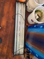 20260123_081119.jpg
