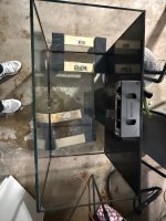 IMG_8962.jpeg