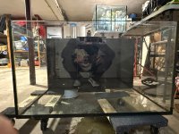 IMG_8960.jpeg