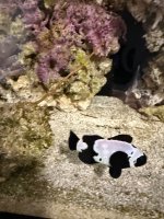 IMG_1803.jpeg