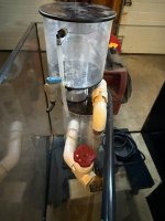 IMG_8977.jpeg