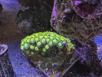 IMG_5100.jpeg