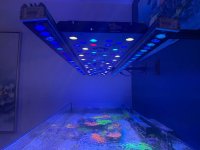 IMG_0533.jpeg