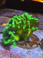 20260125_190744.jpg