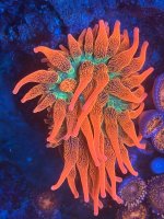 IMG_3453.jpeg