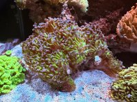 IMG_4015.jpeg