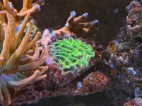 IMG_4016.jpeg