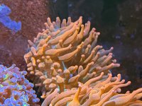 IMG_4017.jpeg