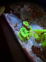 IMG_4014.jpeg
