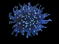 DSCN2536.webp