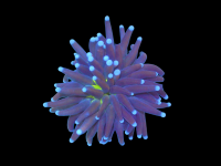 DSCN2490-Photoroom.png