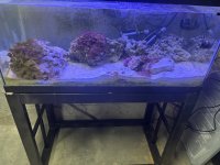 IMG_9257.jpeg