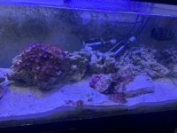 IMG_9258.jpeg