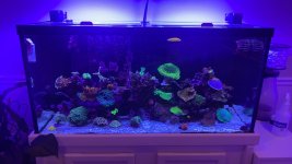 IMG_2255.jpeg IMG_2255.jpeg