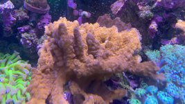 IMG_2650.jpeg IMG_2650.jpeg