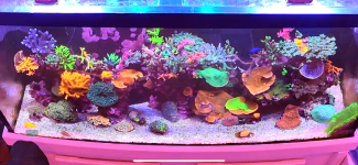 IMG_1187.png IMG_1187.png