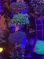IMG_0987.jpg