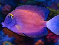 IMG_5645.jpeg
