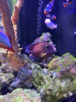 IMG_5700.jpeg