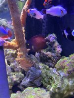 IMG_5702.jpeg