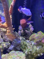 IMG_5701.jpeg